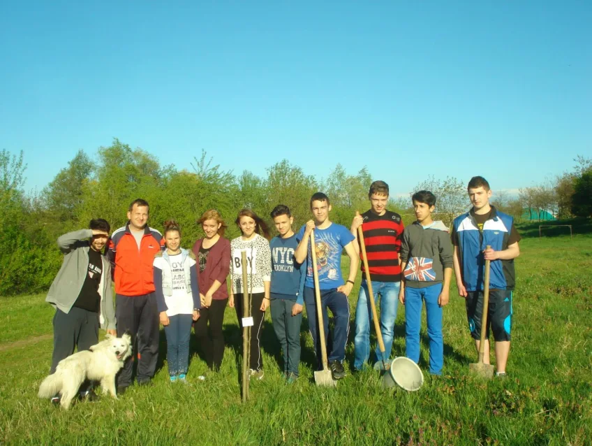 How to Transition Your Corporate Team Building from the Office to the Green